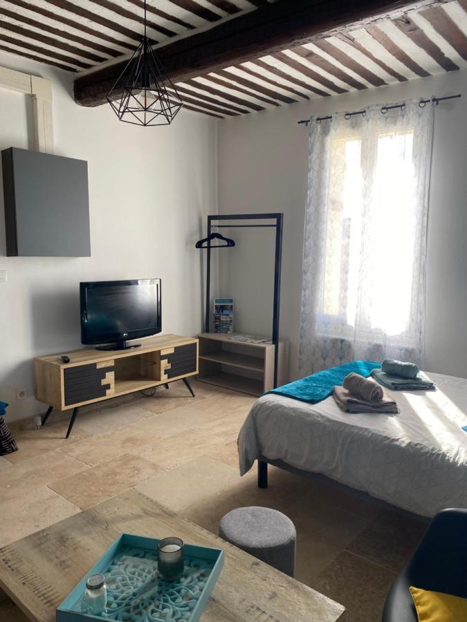 Studio De Charme Le Clos De L'Etang + Place De Parking Л'Іль-сюр-ла-Сорг Екстер'єр фото