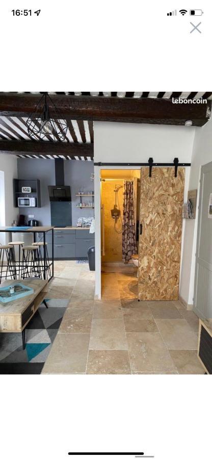 Studio De Charme Le Clos De L'Etang + Place De Parking Л'Іль-сюр-ла-Сорг Екстер'єр фото